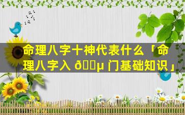 命理八字十神代表什么「命理八字入 🐵 门基础知识」